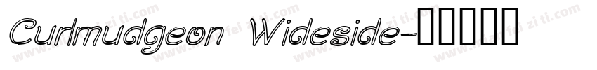 Curlmudgeon Wideside字体转换